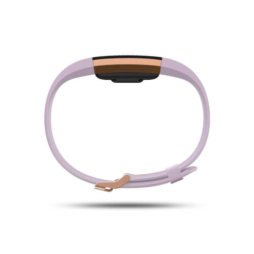 Pulsera Cuantificadora Fitbit Charge 2 Oro Rosa Lavanda | Quonty.com | FB407RGLVS-EU