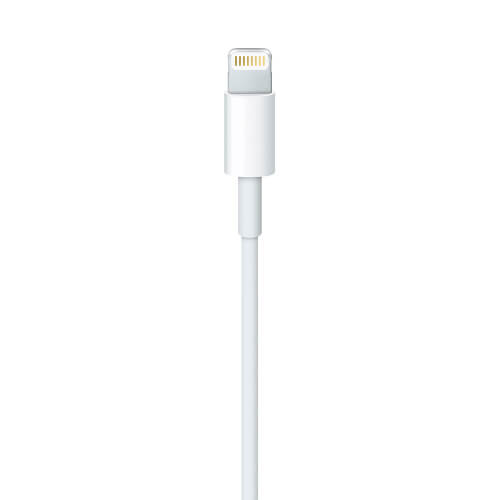 Cable De Conector Lightning A Usb Sin Caja | Quonty.com | MD818ZM/A BULK