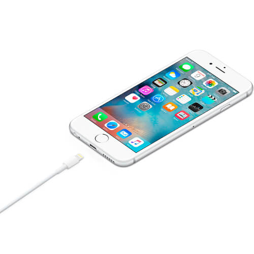 Cable De Conector Lightning A Usb Sin Caja | Quonty.com | MD818ZM/A BULK