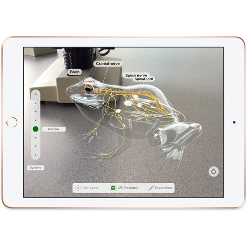Ipad 2018 32gb Oro - Mrjn2ty/A Dorado | Quonty.com | MRJN2TY/A