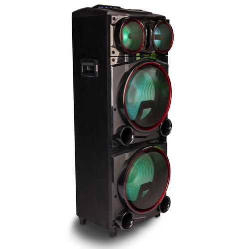 Altavoz Premium Ngs Wild Punk 3 - 1000w Bt Fm Usb/Sd/Aux Led | Quonty.com | WILDPUNK3