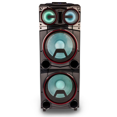 Altavoz Premium Ngs Wild Punk 3 - 1000w Bt Fm Usb/Sd/Aux Led | Quonty.com | WILDPUNK3