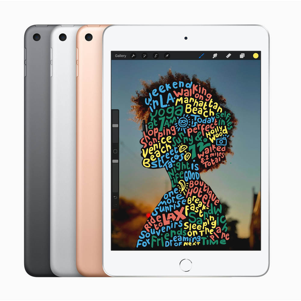 Ipad Mini 64gb 4g Ios 12 Gps Gris | Quonty.com