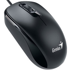 

Raton Genius Dx-110 Usb Negro Ambidiestro