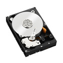 Hdd Wd Black 3.5&Quot; 6tb 7200rpm 128mb Sata3 | Quonty.com | WD6003FZBX