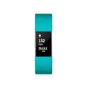 Pulsera Cuantificadora Fitbit Charge 2 Turquesa 17cm-20cm | Quonty.com | FB407STEL-EU