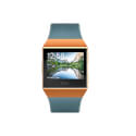 Reloj Inteligente Fitbit Ionic Gris Azulado- Naranja | Quonty.com | FB503CPBU-EU