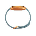 Reloj Inteligente Fitbit Ionic Gris Azulado- Naranja | Quonty.com | FB503CPBU-EU