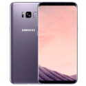 Funda Movil Samsung Galaxy S8 Plus Translucida Vi | Quonty.com | EF-QG955CVEGWW