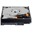 Disco Duro 3.5 500gb Sata3 Wd 64mb Av-Gp | Quonty.com | WD5000AURX