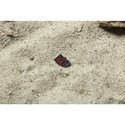 Microsd Kingston 64gb Cl10 Uhs-I Canvas React | Quonty.com | SDCR/64GBSP