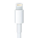 Adaptador Lightning / 30 Clavijas (20 Cm) | Quonty.com | MD824ZM/A