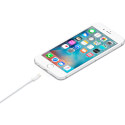 Cable De Conector Lightning A Usb (2.0m) | Quonty.com | MD819ZM/A