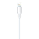 Cable Original Apple Conector Lightning A Usb Con Caja | Quonty.com | MD818ZM/A