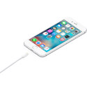 Cable Original Apple Conector Lightning A Usb Con Caja | Quonty.com | MD818ZM/A