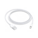 Cable De Conector Lightning A Usb Sin Caja | Quonty.com | MD818ZM/A BULK