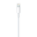 Cable De Conector Lightning A Usb Sin Caja | Quonty.com | MD818ZM/A BULK