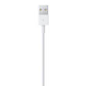 Cable De Conector Lightning A Usb Sin Caja | Quonty.com | MD818ZM/A BULK