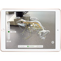 Ipad 2018 32gb Oro - Mrjn2ty/A Dorado | Quonty.com | MRJN2TY/A