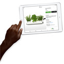 Ipad 2018 32gb Plata 4g - Mr6p2ty/A Plateado | Quonty.com | MR6P2TY/A