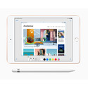 Ipad Mini 5 7,9&Quot; 256gb 4g Ios12 Gps Oro | Quonty.com | MUXE2TY/A