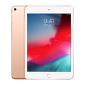 Ipad Mini 7,9&Quot; 256gb Ios 12 Oro | Quonty.com | MUU62TY/A