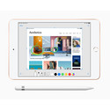 Ipad Mini 7,9&Quot; 256gb Ios 12 Oro | Quonty.com | MUU62TY/A