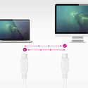Cable Usb Nano Cable Usb2.0 Usb-C/M - Usb-C/M 3a 1.5m Blanco | Quonty.com | 10.01.2301-L150-W