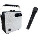 Altavoz Bluetooth Denver Bts-301 30w Rms Microsd/Usb/Aux In | Quonty.com | BTS-301