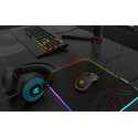 Raton Krom Kane Gaming Usb Optico Dpi Ambidextro | Quonty.com | NXKROMKANE
