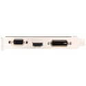 Msi Gt710-1gd3h Lp 1gb Gddr3 Pcie2.0 Lp | Quonty.com | 912-V809-1899