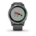 Reloj Deportivo Con Gps Garmin Vivoactive 4 Gris Plateado | Quonty.com | 010-02174-02