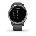 Reloj Deportivo Con Gps Garmin Vivoactive 4 Gris Plateado | Quonty.com | 010-02174-02