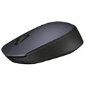 Raton Logitech M171 Inalambrico Negro | Quonty.com | 910-004424