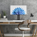 Monitor Thomson Studio Business 27&Quot;Fhd 1920x1080 100hz 5ms 1*Hdmi Negro | Quonty.com | M27FB5C14