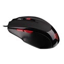 Raton Genesis G33 Gaming Optico 2000dpi Usb | Quonty.com | NMG-0277