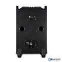 Altavoz Ngs Wild Dance 300w Bt | Quonty.com | WILDDANCE