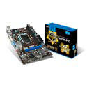 Placa Msi H81m-P33 Intel1150 2ddr3 Dvi Sata3 Usb3.0 Matx | Quonty.com | 911-7817-019