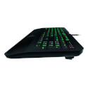 Teclado Razer Deathstalker Expert | Quonty.com | RZ03-00800100-R3U1