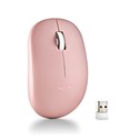 Raton Ngs Fog Pro 1000dpi Inalambrico Rosa | Quonty.com | FOGPROPINK