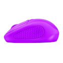 Ratón Trust Primo Wireless Neon Purple 1600dpi | Quonty.com | 21924