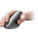 Ratón Ergonómico Trust Varo 1000dpi Usb | Quonty.com | 22126