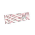 Teclado Coolbox Moonlight B431 Inalambrico Retroiluminado Blanco | Quonty.com | COO-TEW02-BKW