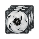 Ventilador 12cm Arctic P12 Pwm A-Rgb Pack 3 Unidades | Quonty.com | ACFAN00232A